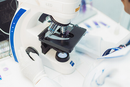 microscope